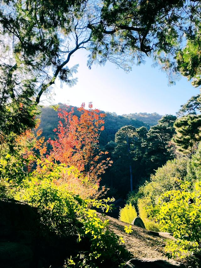今日北京晴朗微风，有空走走，赏秋正当时