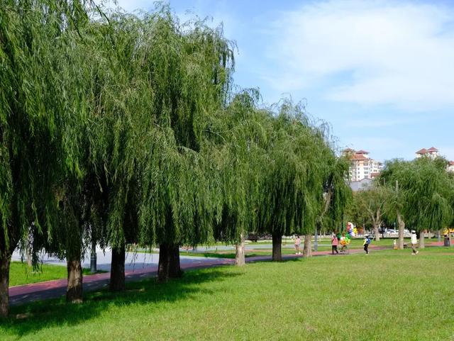 青城周末去哪玩 | 在城市园区里，寻找属于你的松弛感