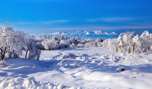 视觉丨长白山色惹人醉
