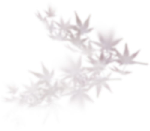 限时一周，来龙华这里“归家”