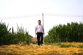 创青春在山东 | 翟军：一位乡村好青年的“农业梦”图片