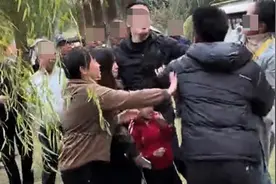 成都警方通报“三娃打闹家长先指挥后互殴”：已达成和解视频封面