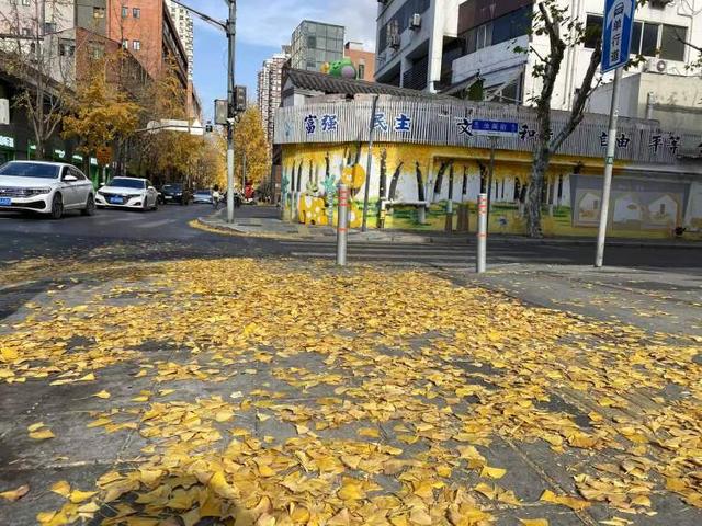 局门路落叶余额不足！市民寒风中打卡满地落叶美景，街头烟火美食也别错过