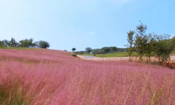 荆州风景地图：从古城墙到浅山，解锁5处限定美色