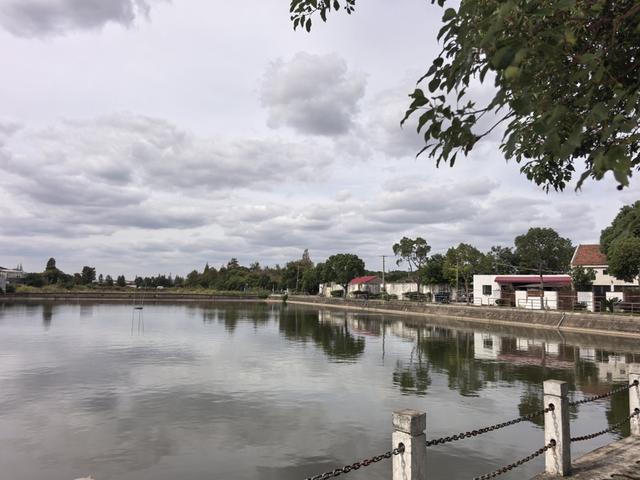 人均花销200+住进沪郊民宿酒店，吃住玩全包的银发套餐能火吗？