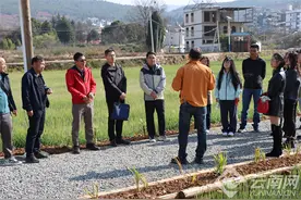 昆明官渡区金马街道：以学促干 激活街道高质量发展新动能图片