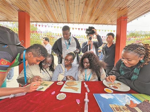青海行共筑中非青年友谊合作桥