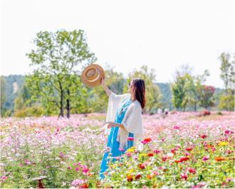 霜降时节 秋色撩人