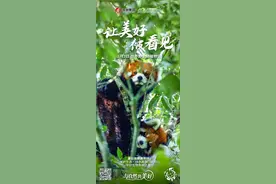 世界野生动植物日 | 湄公河旅游，让美好，被看见图片