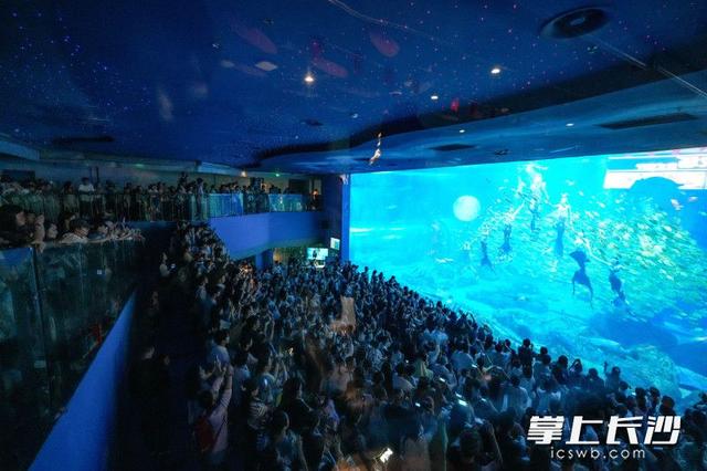 湘江欢乐海洋国潮来袭，水下“嫦娥奔月”引爆双节人气丨组图