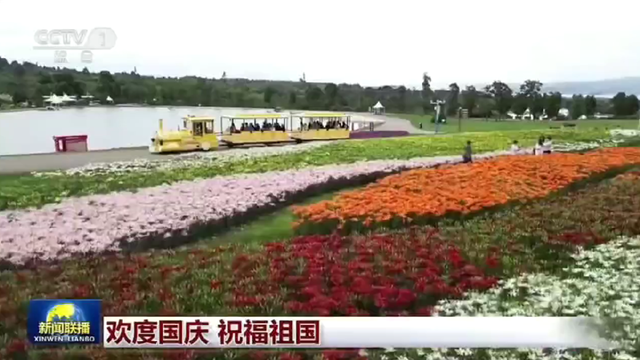 国庆首日，红河州登上央视，活动火热出圈