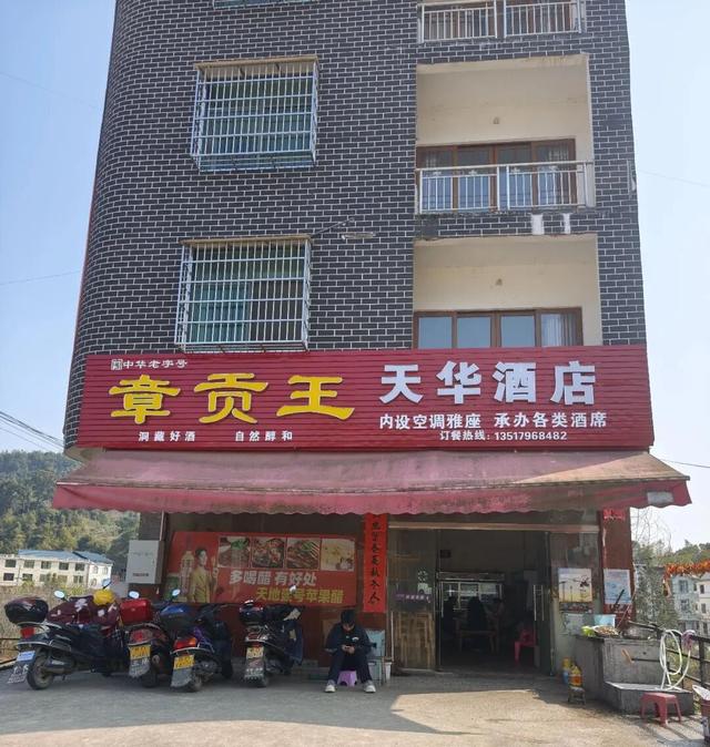 【遂川乡村游】“不去衙前看猛楠，游遍遂川也枉然”附新江古树秘境