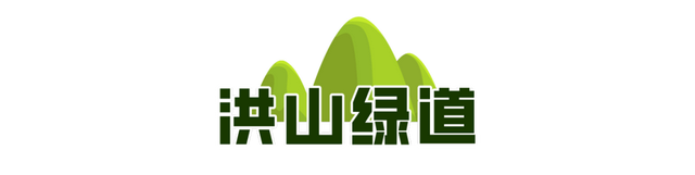 一城山色·泉城绿道 | 历下区山林绿道串起市民美好生活
