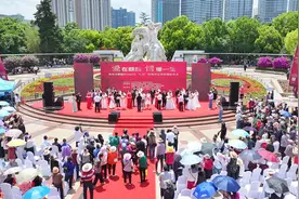 麒麟区举行“520”结婚登记集体颁证仪式图片