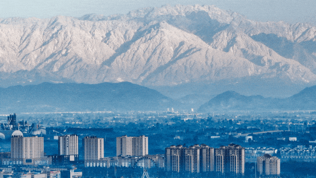 从山野到庭院，解锁“天彭牡丹”城市IP的“彭州路径”