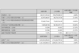 四方达：上半年净利润同比下滑21.58％图片