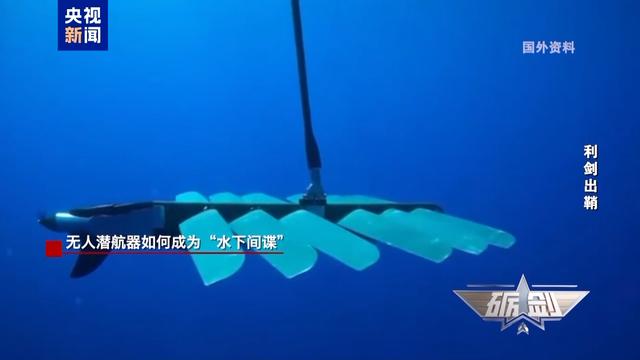 中国渔民多次捞到“间谍鱼”