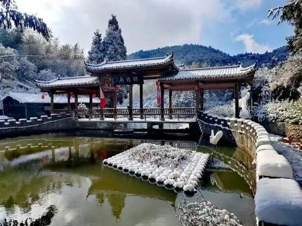 福鼎这里藏着一座“四季画廊”……