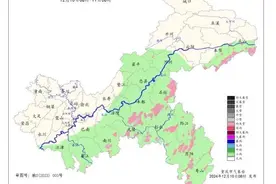 最低-1℃！雨、雨夹雪、小雪……重庆赏雪攻略已附上→图片