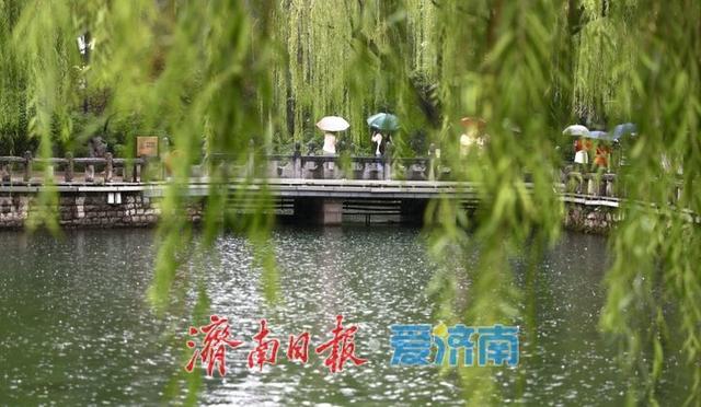 雨中赏泉，济南趵突泉似江南画卷
