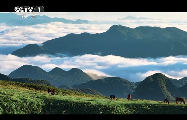 走！跟着央视热播剧，打卡毕节