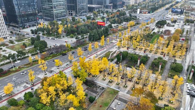 观山湖区：绿脉织城 四季变幻 绘就宜居新画卷