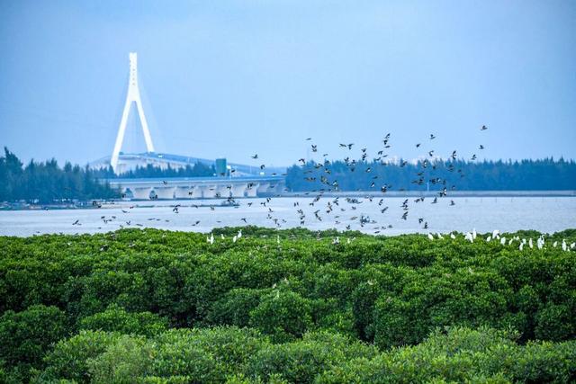 演唱会没嗨够？转场美兰这10个地方！火星人与KatyCats的游玩攻略→