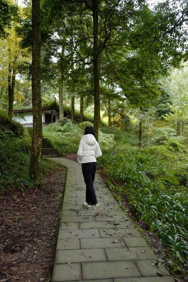 青城山｜与自然对话的日与夜。