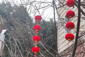 把脉“家务事”！奉浦这个居委把多年矛盾化解在“家门口”图片