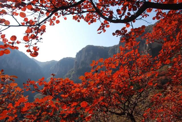 周末天气晴好，徒步去→