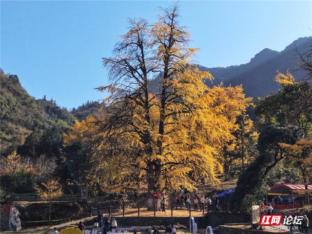 【每日一图@湖南】在永州桐子坳，我找到了最动人的浪漫