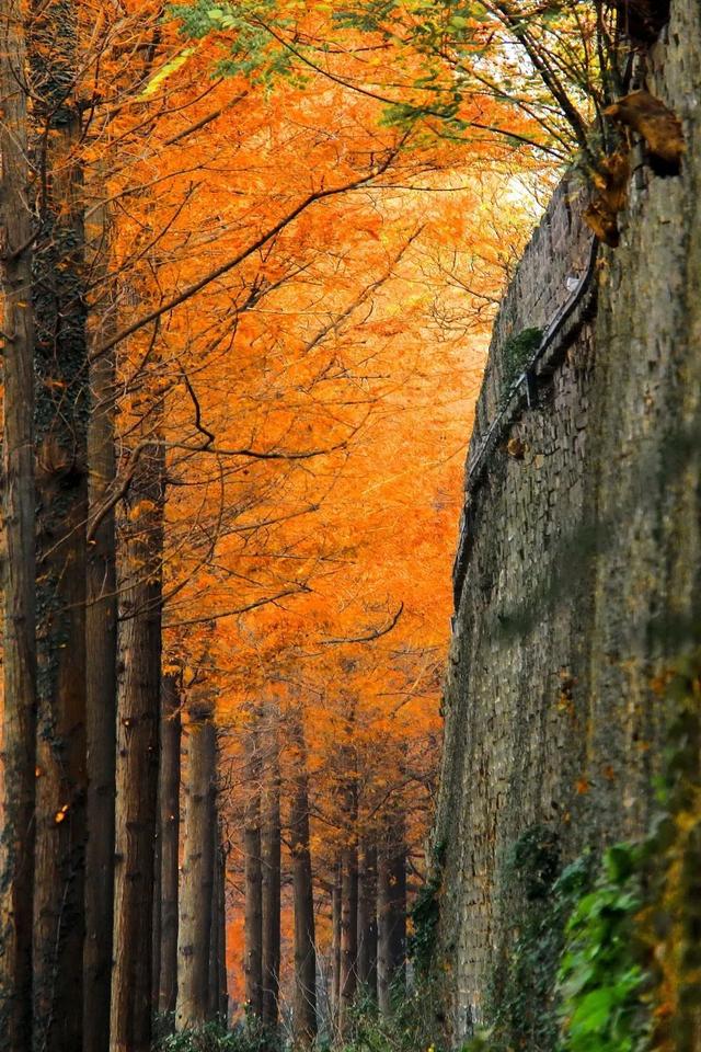 荆州的秋，才是隐藏BOSS！🥰🥰🥰