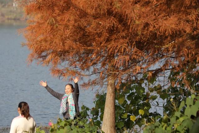 德阳冬日“顶流”！出片率100%！