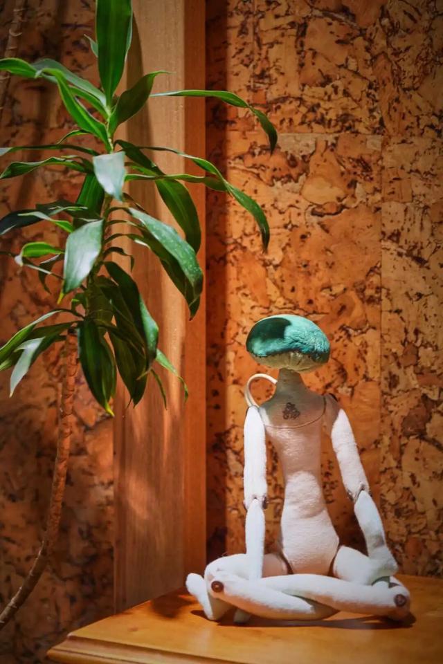 来东城这个胡同小院，邂逅蘑菇精灵的童话秘境——