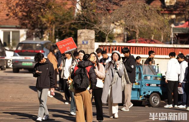 八大关枫叶抓紧看