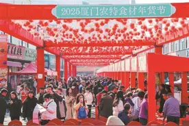 连开三天！“蛇行大运”2025厦门农特食材年货节举办图片