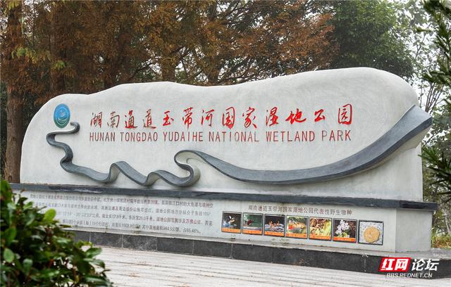 岁暖时刻丨冬日通道玉带河：被晨雾唤醒的山水画廊