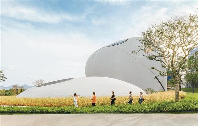 深圳湾文化广场11月23日起对公众开放，总策展人韩家英为你导赏 在这些“石头”里读懂设计