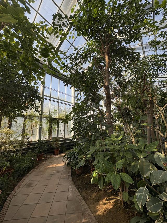 超适合冬日遛娃，北京室内“热带雨林”攻略请收好