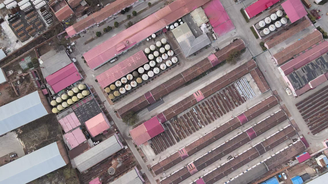 千年运河波光映照渤海之滨，“2025大运河文化阅读行”第七站抵达天津