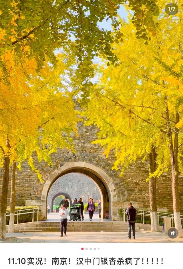 南京开始“下雪”了！