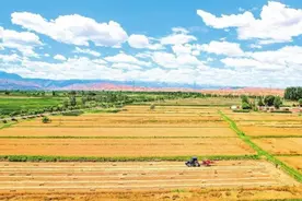 从“种得好”到“卖得俏”图片