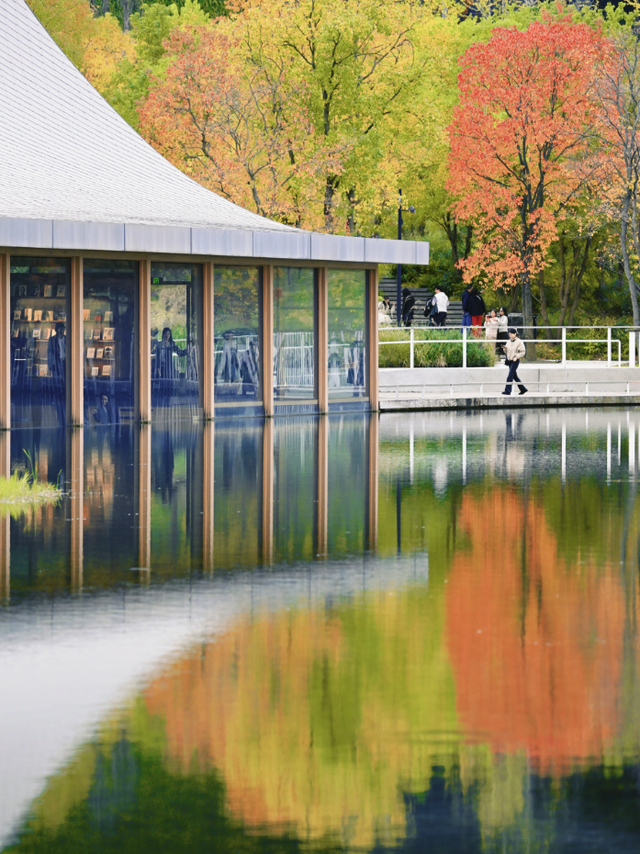 绝美！成都红枫进入最佳观赏期！线路来啦
