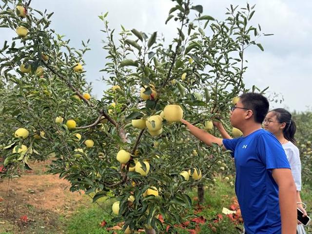 大连瓦房店：双节文旅“热力”持续许屯镇龙门汤温泉成县域旅游新亮点