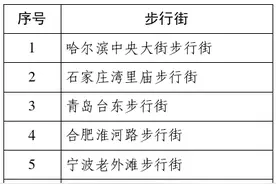 中央大街上榜！第三批“全国示范步行街”公示图片