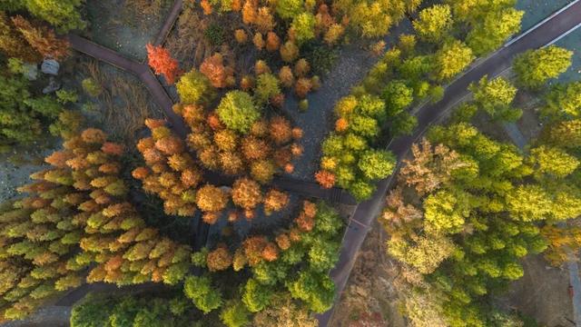太仙了！美到巅峰！这个周末，又要人人人啦~