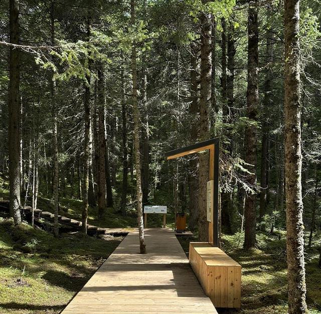 黄龙景区2025年接待游客突破328万人次！连续三年刷新历史纪录