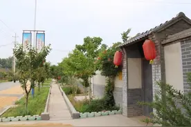 青岛莱西：特色产业助力乡村振兴结硕果图片