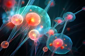 稀土科技新突破：近红外发光探针照亮生物体内部图片