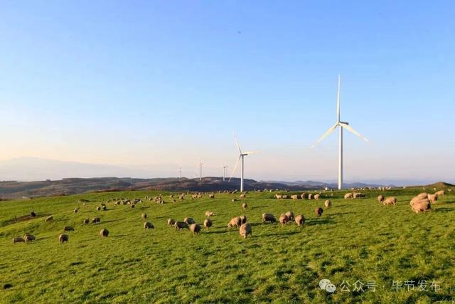 毕节不止有“悬崖村”，这些田园风光更美！